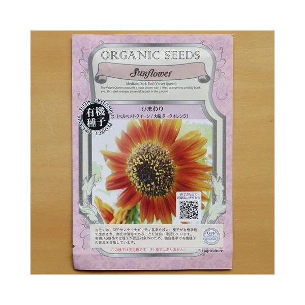 L@q Œ Ђ܂ 50  xxbgNC[  2026N5