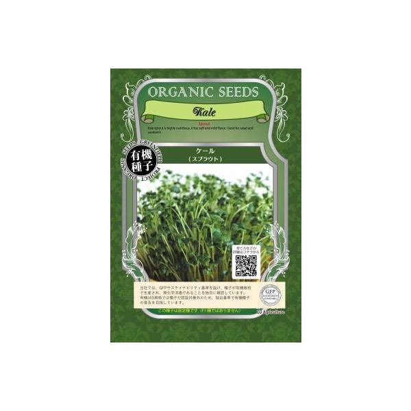 XvEg  P[ 11g L@q Œ   2027N5