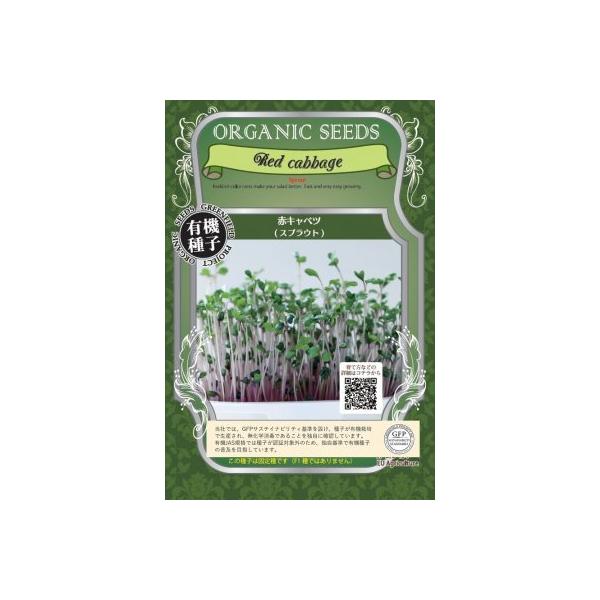 XvEg ԃLxc 11g  L@q Œ  2026N11