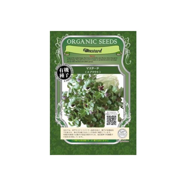 XvEg }X^[h 11  L@q Œ  2026N5