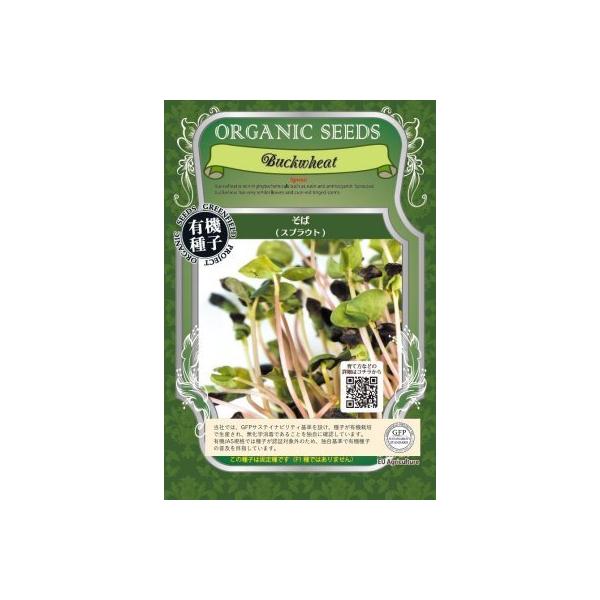 XvEg  15  L@q ΂̉ Œ  2026N11