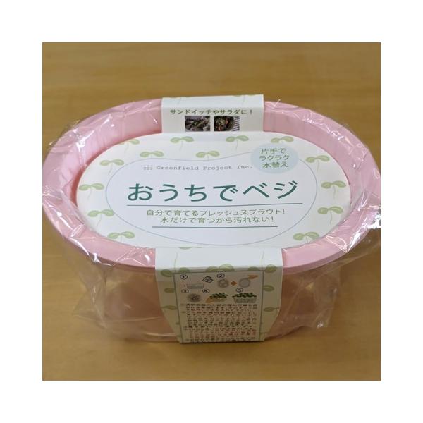 スプラウトが簡単に栽培できる専用容器＊メーカー：株式会社グリーンフィールドプロジェクト