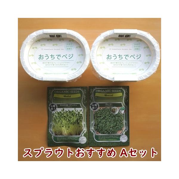 スプラウト初心者が最も育てやすいブロッコリーとラディッシュの栽培セット＊メーカー：株式会社グリーンフィールドプロジェクト