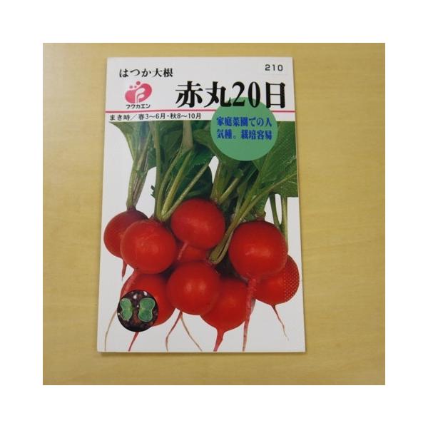 固定種 はつか大根 赤丸２０日 種 ラディッシュ 二十日大根 Nicoco プランター菜園を楽しむ会 通販 Yahoo ショッピング
