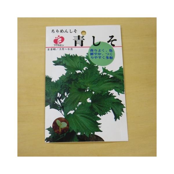固定種 青しそ 種 大葉 種子 ゆうメール選択可 Buyee Buyee Japanese Proxy Service Buy From Japan Bot Online