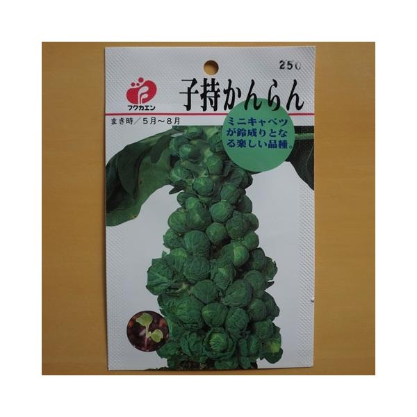 種 芽キャベツの人気商品 通販 価格比較 価格 Com