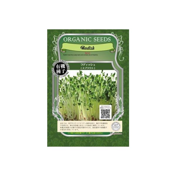 XvEg fBbV 80g  卪 L@q Œ  2026N11