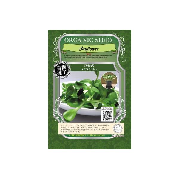 XvEg Ђ܂ 60  q} L@q Œ  2026N11