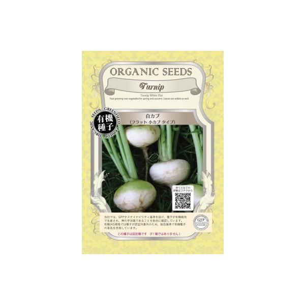 L@q Œ Ju 1  tbg Ju   ܂