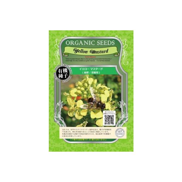 L@q Œ CG[}X^[h 900g@ Δ/iϗp ܂