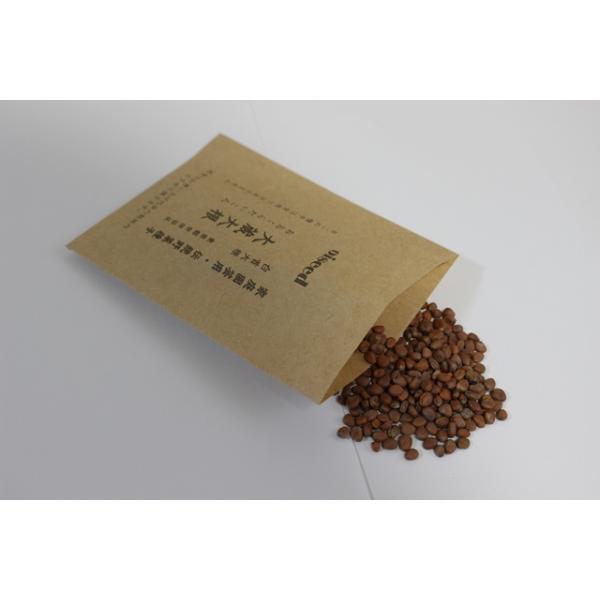 東京都世田谷区の大蔵大根で固定種です。メーカー：鶴頸種苗流通プロモーションメール便は、追跡可能メール便「ゆうパケット」での発送となります。