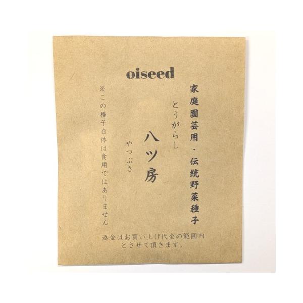 伝統野菜種子 八ツ房とうがらし 固定種 0.5ｍｌ 種 在来種 2026年10月期限