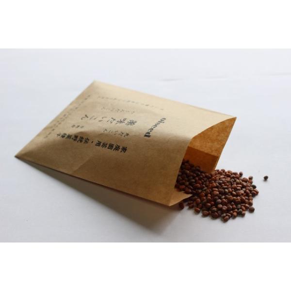 京都府在来種のだいこんで固定種です。メーカー：鶴頸種苗流通プロモーションメール便は、追跡可能メール便「ゆうパケット」での発送となります。