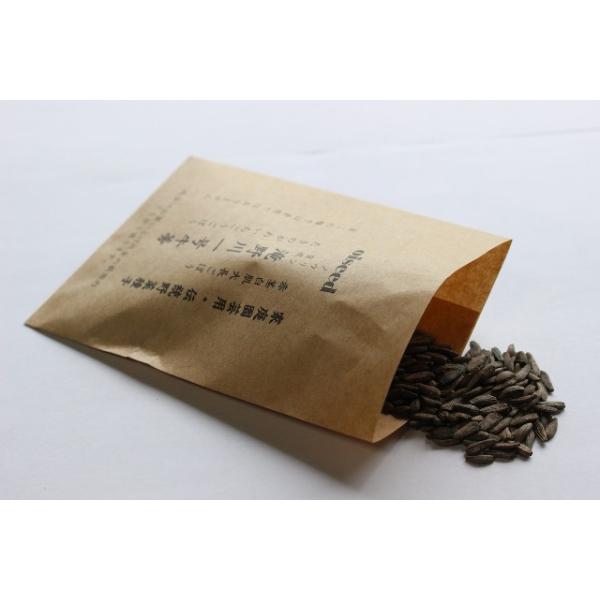 東京都在来種のごぼうで固定種です。メーカー：鶴頸種苗流通プロモーションメール便は、追跡可能メール便「ゆうパケット」での発送となります。