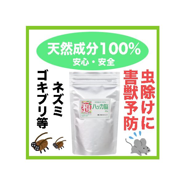 SS VR100% anbJ] lւp80g `bNܓ,   QbEQ΍ nbJ] SLu lY~ ׌ anbJ Q F