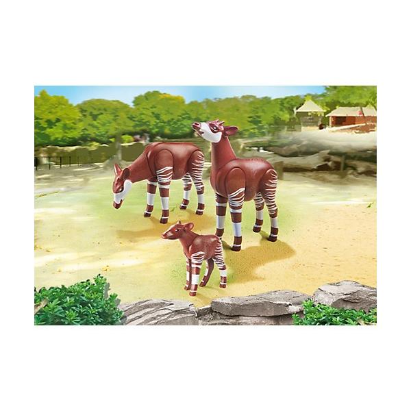 V l`@vC[r@V[Y IJs̉Ƒ