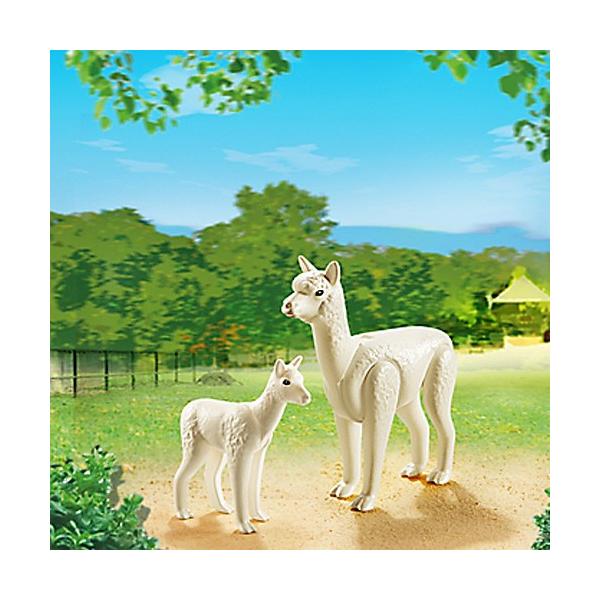 V l`@vC[r@V[Y ApJ̐eq