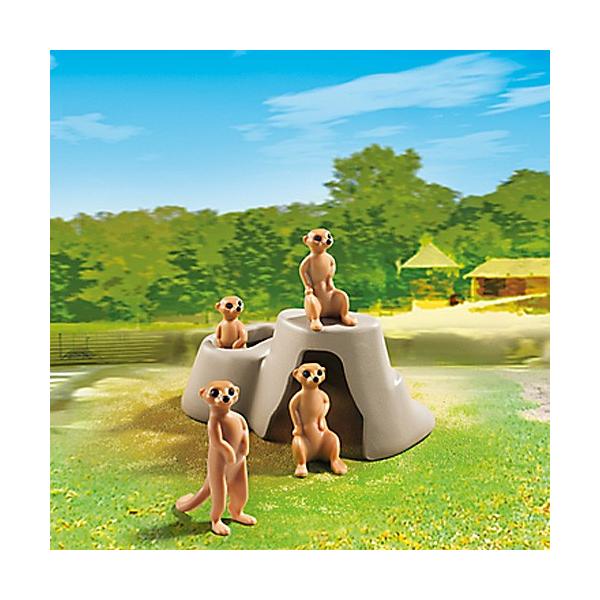 V l`@vC[r@V[Y ~[ALbg̉Ƒ