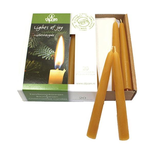 낤@100݂낤 NX}Xc[Lh i`20{