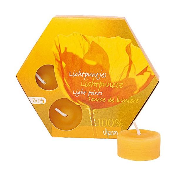 낤@100݂낤 eB[CgLh 7