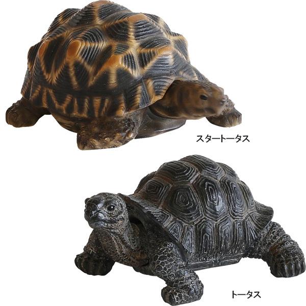 マグネット レプタイルズ マグ インテリア 雑貨 置物 オブジェ マグネット クリップ 文房具