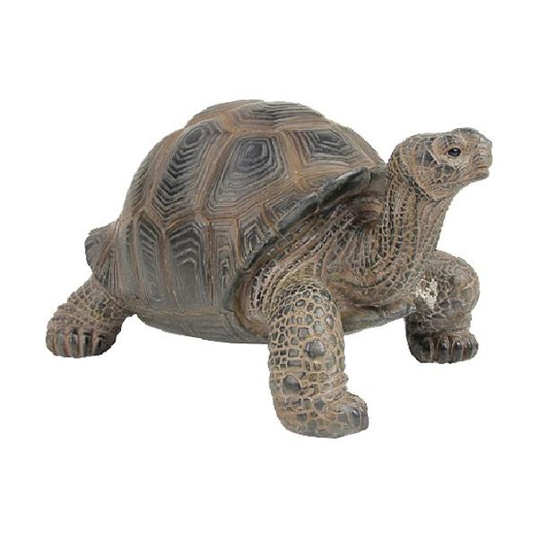 CeA G u IuWF  @ybg oN@g[^X