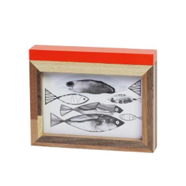 p[Pbg bh@tHgt[ X^h Ǌ| ʐ^