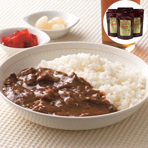 群馬 赤城牛のとりやま 赤城牛カレー 200g×10中辛×5 辛口×3 甘口×2　sk