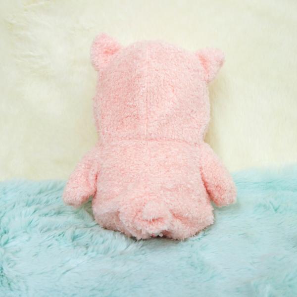 niconicodo_10005693_3_d_20241113110204