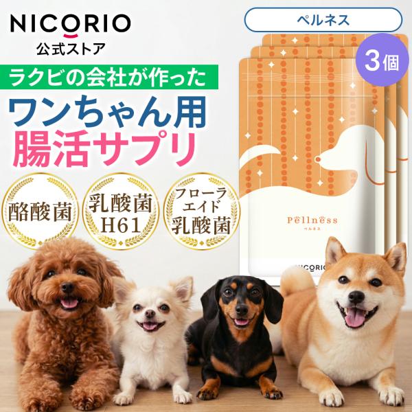 公式 ペルネス 1袋 ニコリオ 犬用 乳酸菌 酪酸菌 腸活 サプリ 腸内環境 整腸 ペット ラクビ Lakubi