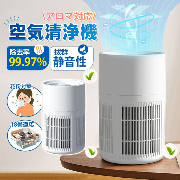 爆買 即納 空気清浄機 小型 省エネ 2重除菌 18畳対応 アロマ対応