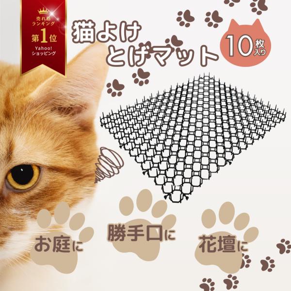 nihon-dm_crm0110