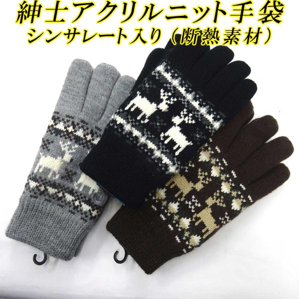 メンズ手袋　ANDREANO スノーグローブ メンズ レディース 5本指 スキー スノボ GORE