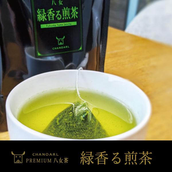 プレミアム八女緑香る煎茶 ティーバッグ 5個入り 国産 深蒸し茶 福岡