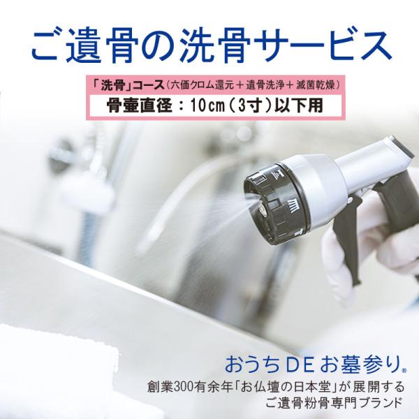 粉骨 遺骨洗骨「洗骨 (六価クロム還元・遺骨洗浄・滅菌乾燥 粉骨 遺骨洗骨「洗骨 (六価クロム還元・遺骨洗浄・滅菌乾燥