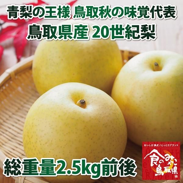 青梨の王様 鳥取秋の味覚代表 鳥取県産世紀梨 2 5kg 6 10玉入り seikinashi 2 日本海市場 通販 Yahoo ショッピング
