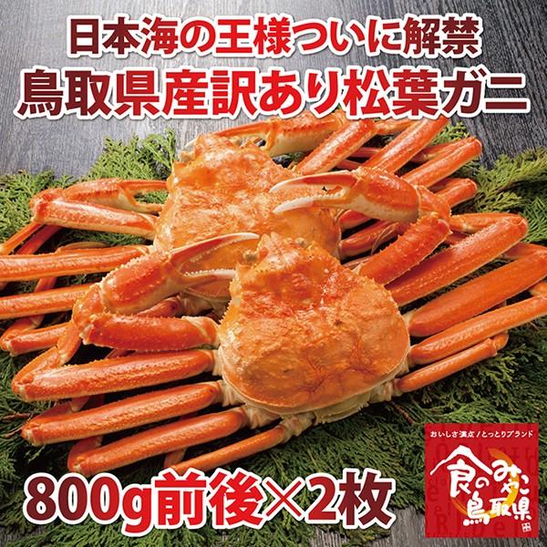 tKj 󂠂(䥂)TCY21.6kgO 1x