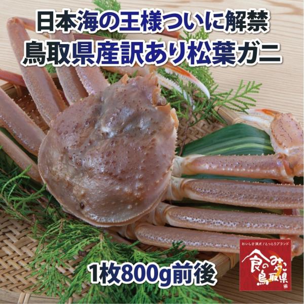 󂠂菼tKj()TCY1800gO 1x