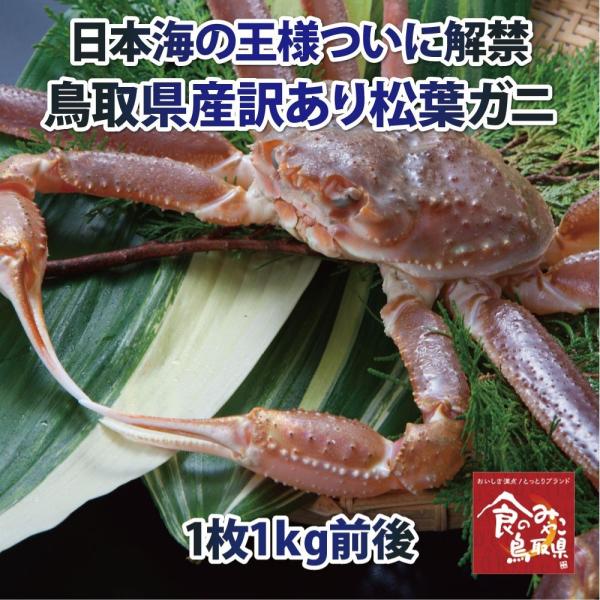 tKj 󂠂()TCY11kgO 1x