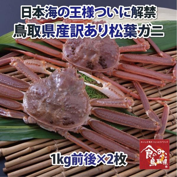 tKj 󂠂()TCY22kgO 1x