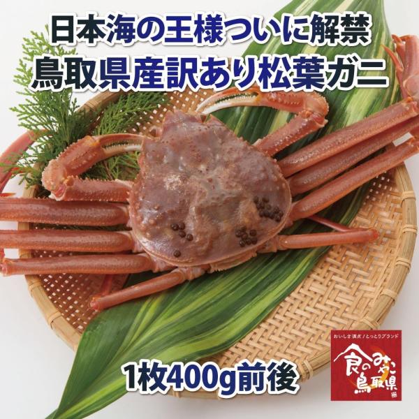 \@󂠂菼tKj()TCY1400gO 1x