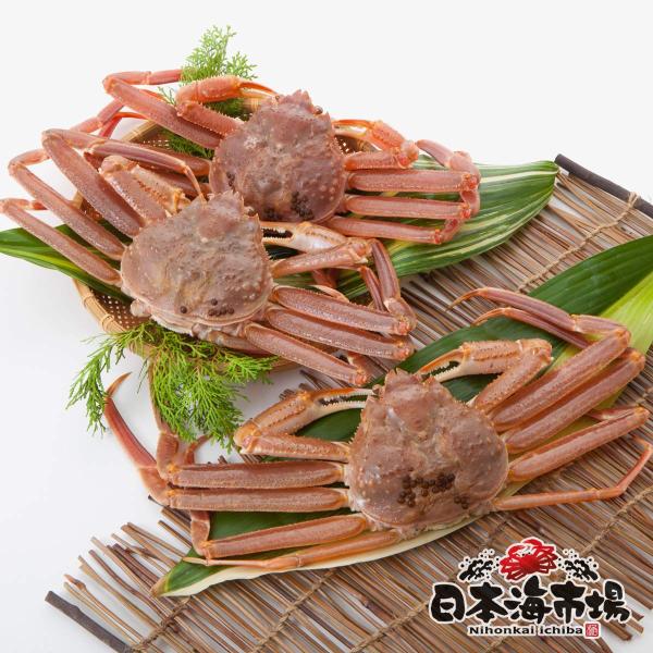 tKj 󂠂  d1kgO 2`4 1x@ ł