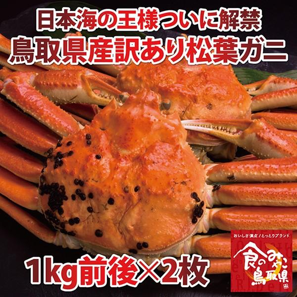 tKj󂠂(䥂)TCY22kgOj1x