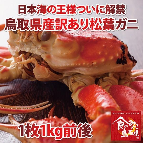 tKj 󂠂(䥂)TCY11kgO 1x