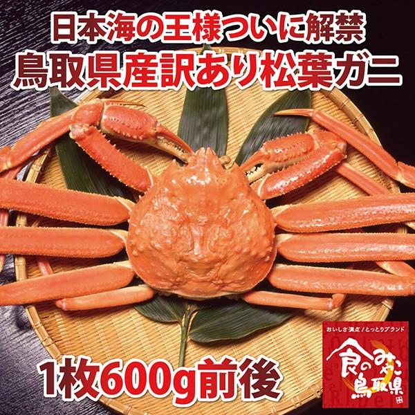 tKj 󂠂(䥂)TCY1600gO 1x