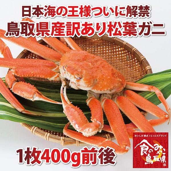 tKj  󂠂 TCY1400gO 1x