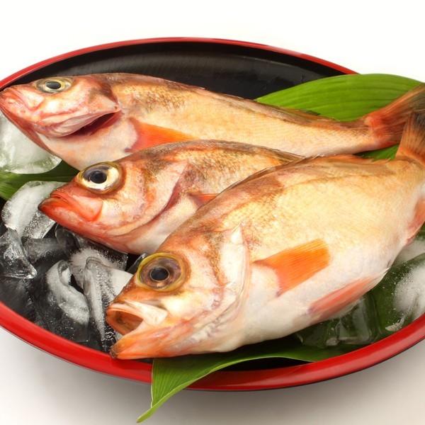 鳥取県産 沖メバル ウスメバル 1kg詰め Okimebaru 1 日本海市場 通販 Yahoo ショッピング