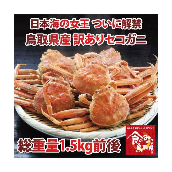 tKj̎ ZRKj 󂠂 (䥂)d1.5kgO