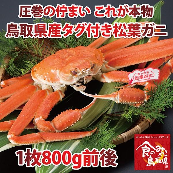 ^OttKj(䥂)TCY1800gO