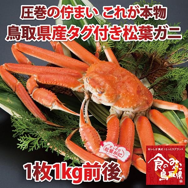 ^OtKj(䥂 YCKj)TCY1iJj1kgOj